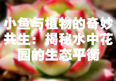 小鱼与植物的奇妙共生：揭秘水中花园的生态平衡