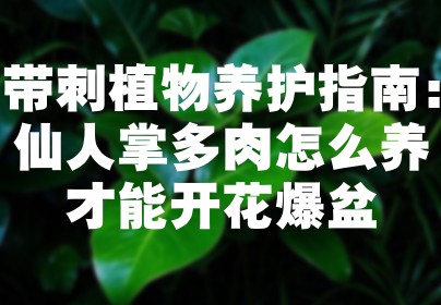 带刺植物养护指南：仙人掌多肉怎么养才能开花爆盆