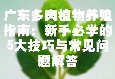 广东多肉植物养殖指南：新手必学的5大技巧与常见问题解答