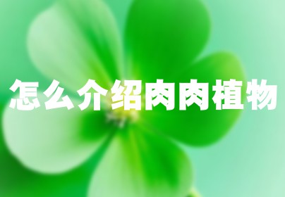 怎么介绍肉肉植物