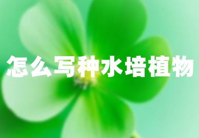 怎么写种水培植物