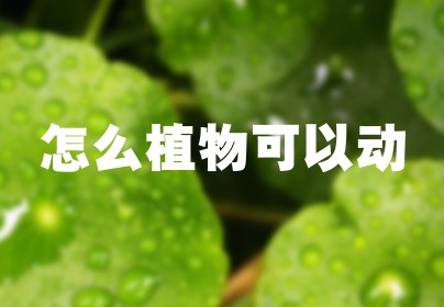 怎么植物可以动