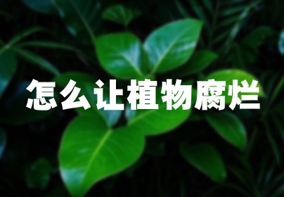 怎么让植物腐烂