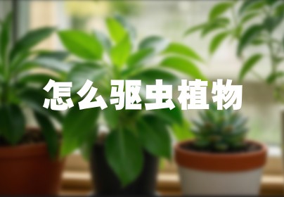 怎么驱虫植物