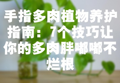 手指多肉植物养护指南：7个技巧让你的多肉胖嘟嘟不烂根