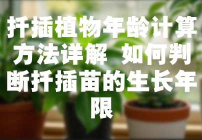 扦插植物年龄计算方法详解 如何判断扦插苗的生长年限