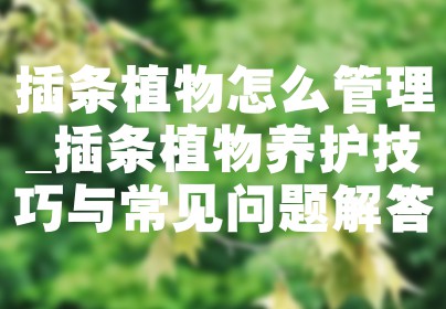 插条植物怎么管理_插条植物养护技巧与常见问题解答