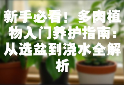 新手必看！多肉植物入门养护指南：从选盆到浇水全解析
