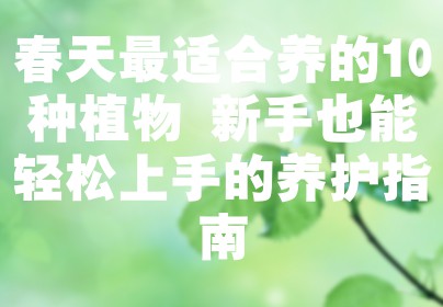 春天最适合养的10种植物 新手也能轻松上手的养护指南