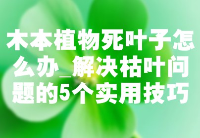 木本植物死叶子怎么办_解决枯叶问题的5个实用技巧