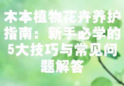 木本植物花卉养护指南：新手必学的5大技巧与常见问题解答