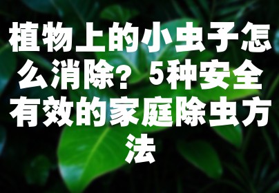 植物上的小虫子怎么消除？5种安全有效的家庭除虫方法