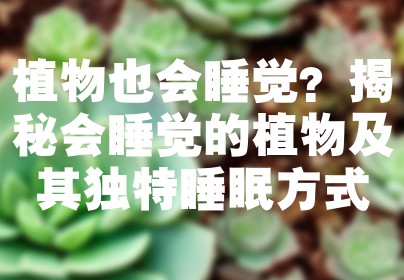 植物也会睡觉？揭秘会睡觉的植物及其独特睡眠方式
