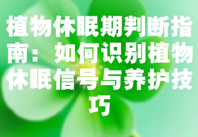 植物休眠期判断指南：如何识别植物休眠信号与养护技巧