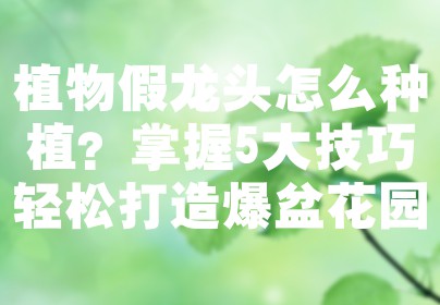 植物假龙头怎么种植？掌握5大技巧轻松打造爆盆花园