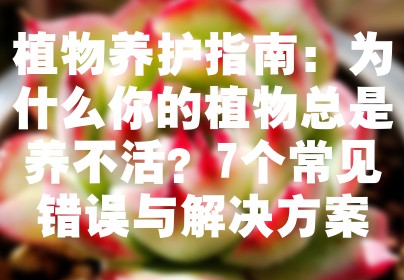 植物养护指南：为什么你的植物总是养不活？7个常见错误与解决方案