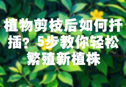 植物剪枝后如何扦插？5步教你轻松繁殖新植株