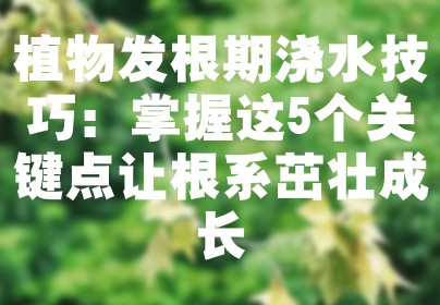 植物发根期浇水技巧：掌握这5个关键点让根系茁壮成长