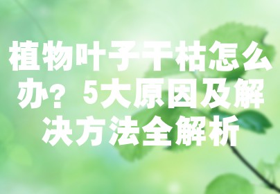 植物叶子干枯怎么办？5大原因及解决方法全解析