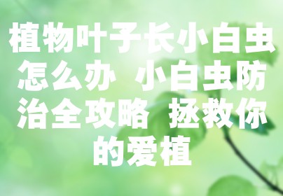 植物叶子长小白虫怎么办 小白虫防治全攻略 拯救你的爱植