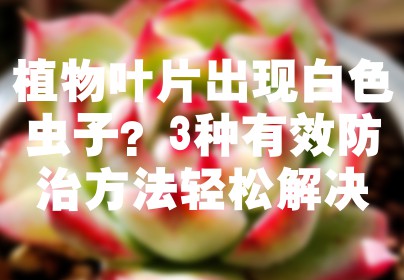 植物叶片出现白色虫子？3种有效防治方法轻松解决