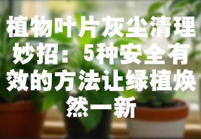 植物叶片灰尘清理妙招：5种安全有效的方法让绿植焕然一新