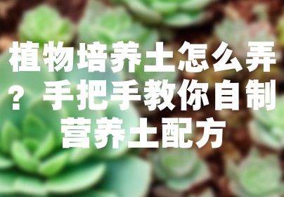 植物培养土怎么弄？手把手教你自制营养土配方