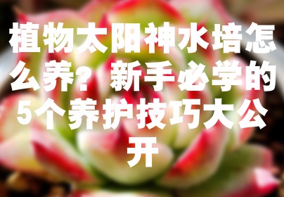 植物太阳神水培怎么养？新手必学的5个养护技巧大公开