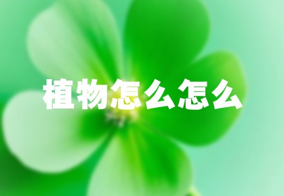 植物怎么怎么