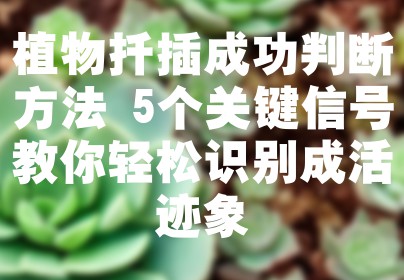 植物扦插成功判断方法 5个关键信号教你轻松识别成活迹象