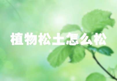 植物松土怎么松