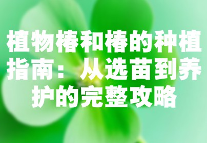 植物椿和椿的种植指南：从选苗到养护的完整攻略