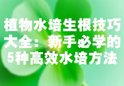 植物水培生根技巧大全：新手必学的5种高效水培方法