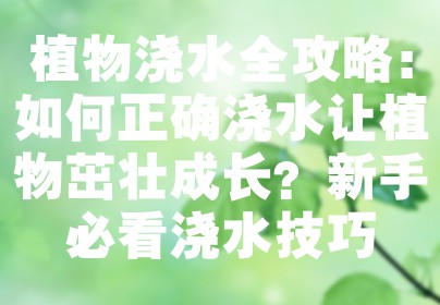 植物浇水全攻略：如何正确浇水让植物茁壮成长？新手必看浇水技巧