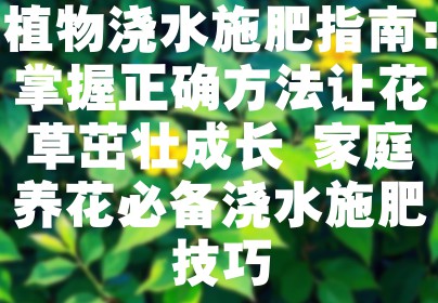 植物浇水施肥指南：掌握正确方法让花草茁壮成长 家庭养花必备浇水施肥技巧