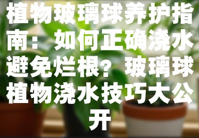 植物玻璃球养护指南：如何正确浇水避免烂根？玻璃球植物浇水技巧大公开