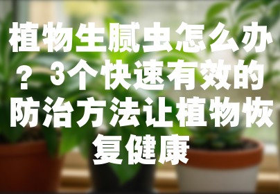植物生腻虫怎么办？3个快速有效的防治方法让植物恢复健康