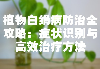 植物白绢病防治全攻略：症状识别与高效治疗方法