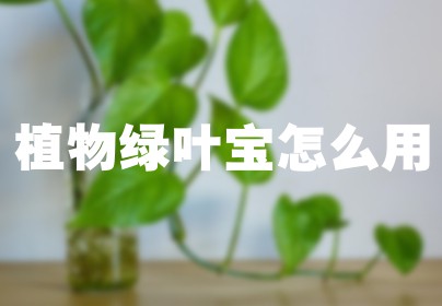 植物绿叶宝怎么用