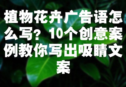 植物花卉广告语怎么写？10个创意案例教你写出吸睛文案
