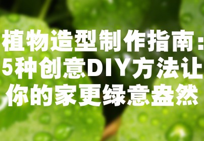 植物造型制作指南：5种创意DIY方法让你的家更绿意盎然
