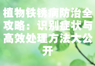 植物铁锈病防治全攻略：识别症状与高效处理方法大公开