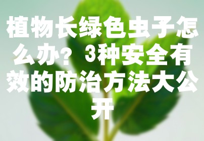 植物长绿色虫子怎么办？3种安全有效的防治方法大公开