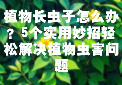植物长虫子怎么办？5个实用妙招轻松解决植物虫害问题
