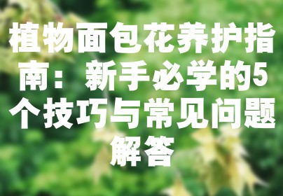 植物面包花养护指南：新手必学的5个技巧与常见问题解答