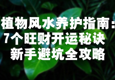 植物风水养护指南：7个旺财开运秘诀+新手避坑全攻略
