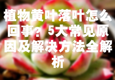 植物黄叶落叶怎么回事？5大常见原因及解决方法全解析