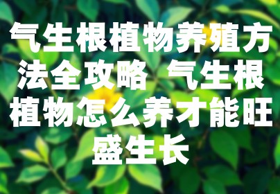 气生根植物养殖方法全攻略 气生根植物怎么养才能旺盛生长
