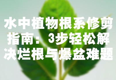 水中植物根系修剪指南：3步轻松解决烂根与爆盆难题