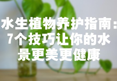 水生植物养护指南：7个技巧让你的水景更美更健康